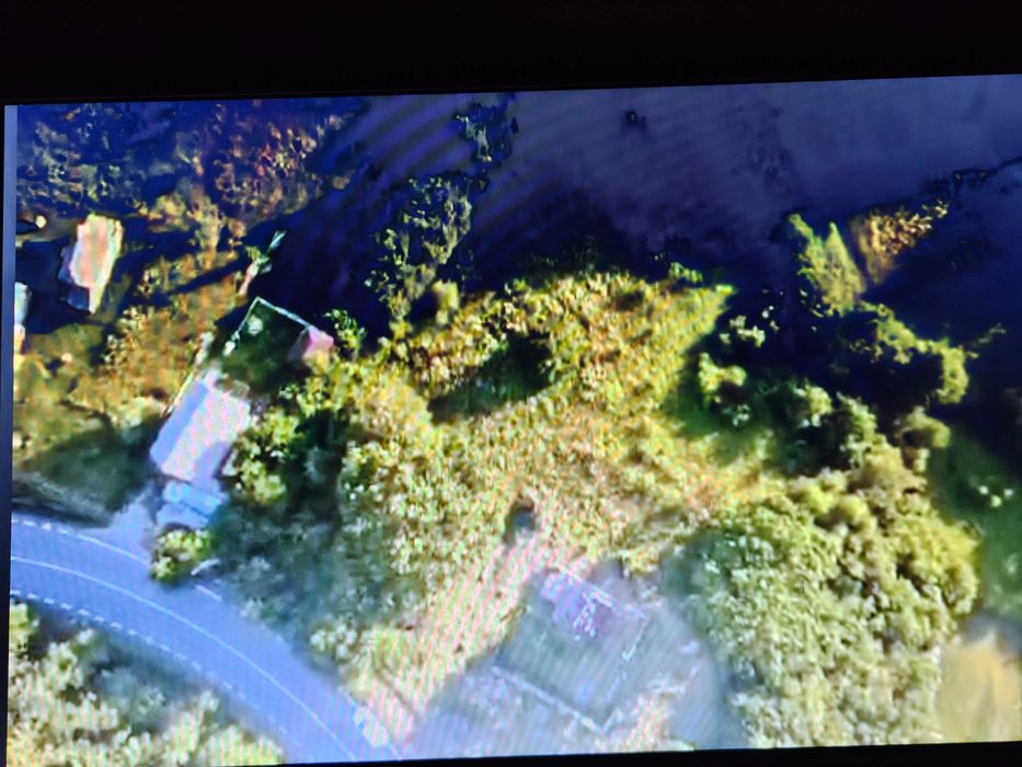 Teren Buhalnița Neamț