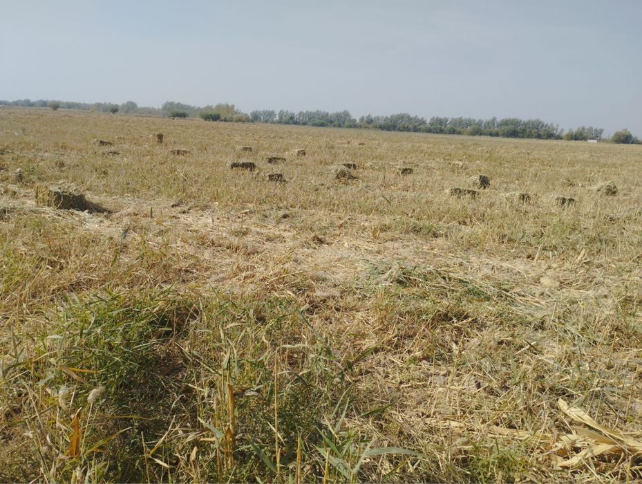 Makkayi press sotiladi 80 sm katta