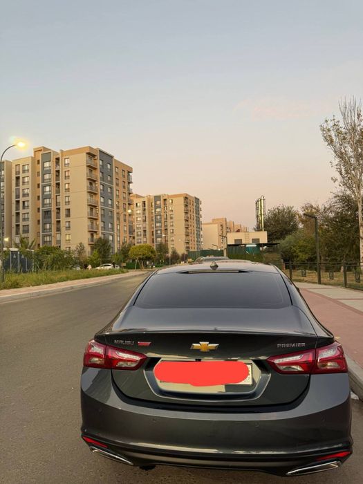 Malibu 2 premer 2022