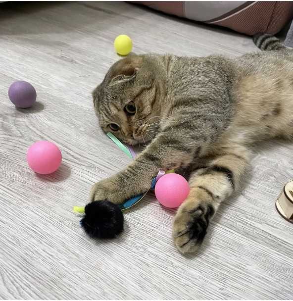 Набор игрушек для кошек 15 штук