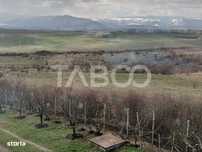 Casa singur in curte cu teren liber 2667 mp 6 camere 4 bai Daia