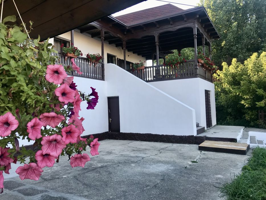 Inchiriez camera Dubla cu terasa  termen lung- ZONA CAMPUS MAMAIA