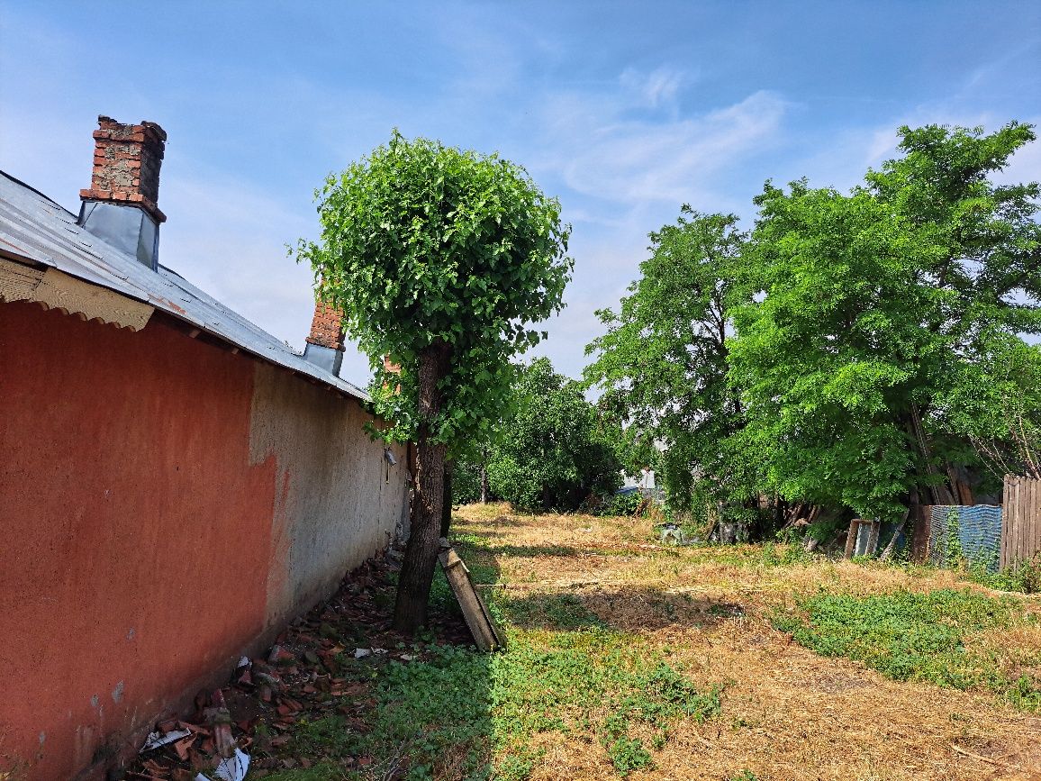 Teren de vânzare, comuna Varasti, strada Morii, jud. Giurgiu