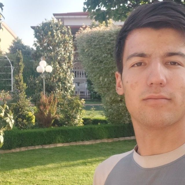 Archa kesish gazon ekish