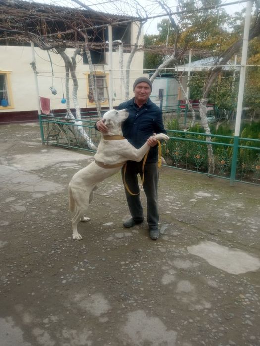 Бервордим йўқ энди 1 ярим йил тўлди ёшига