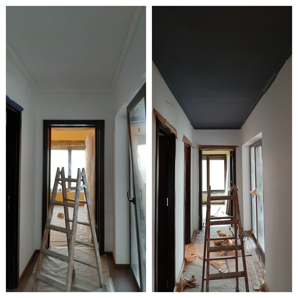 Zugrav Zugraveli Decorati Lavabil