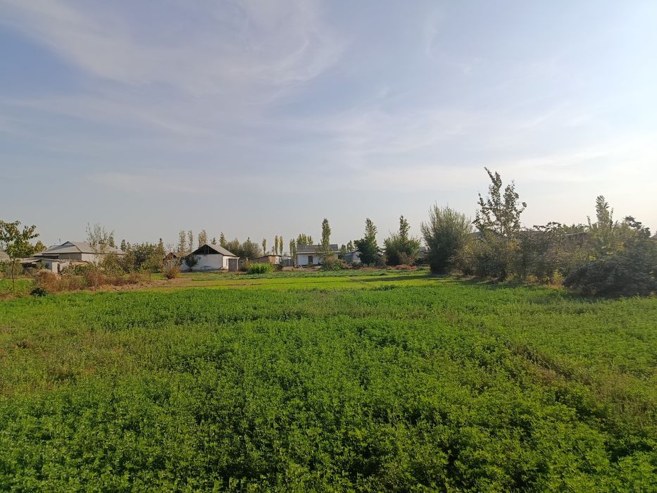 Sirdaryo viloyati Baht shahri Orzu MFE DORULAMON KOʻCHASI 13