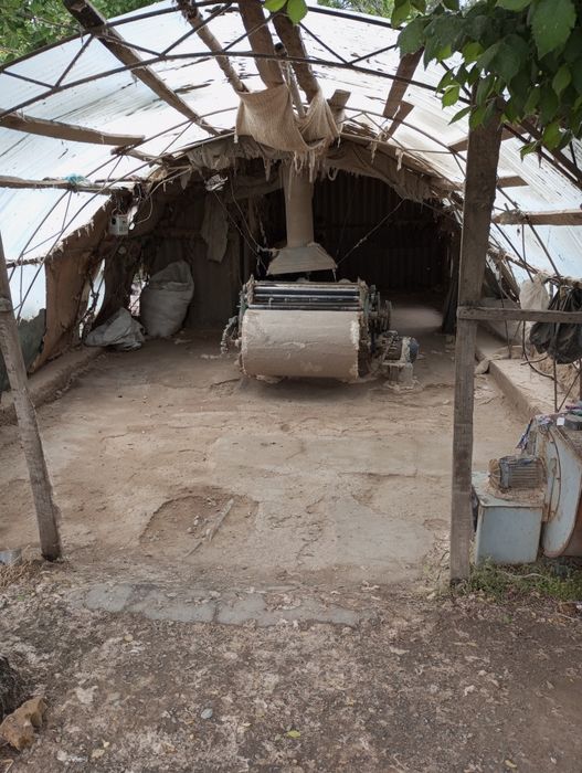 Сфатли Тин-тин бизда