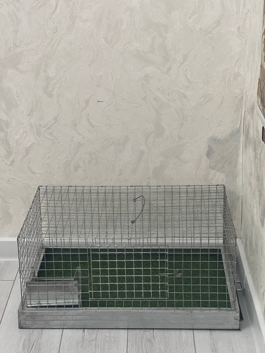 Qafas sotiladi xolati yaxshi