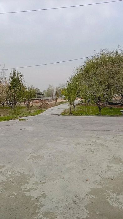 Ferma (toliq malumotni telda gaplashilinadi)