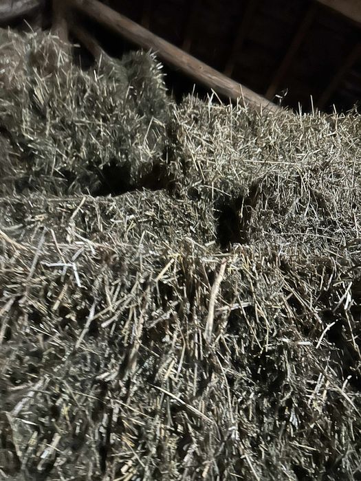 Vând baloti amestecați cu fan si lucerna