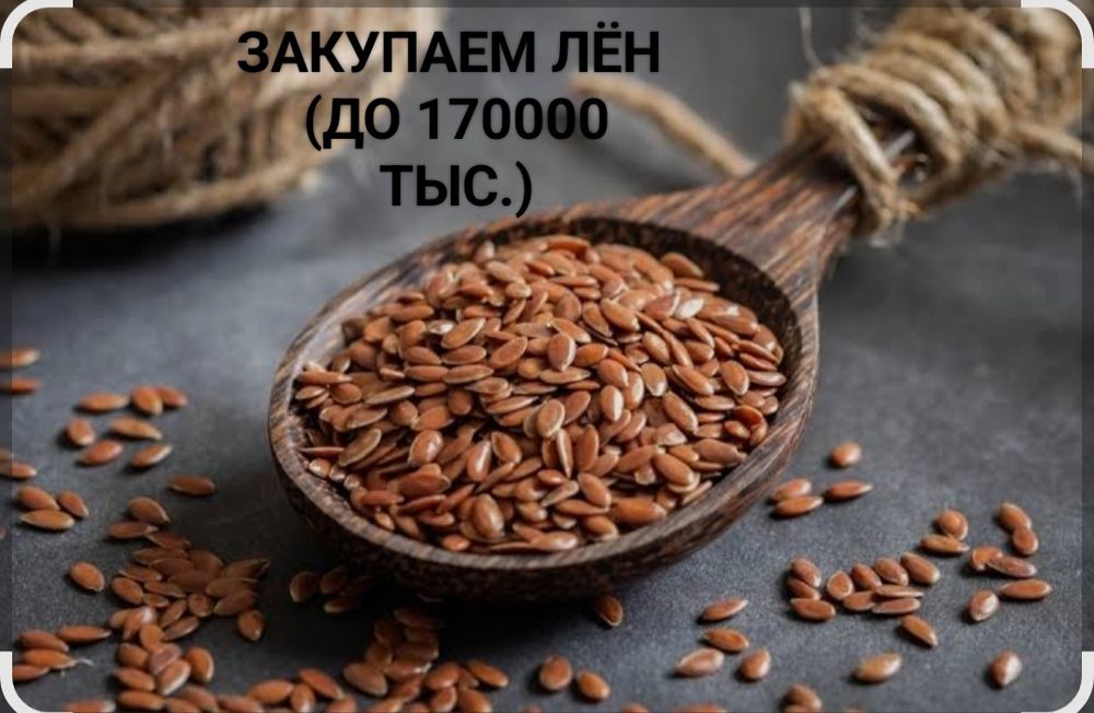 ЛЁН до 170000 тысяч!!!