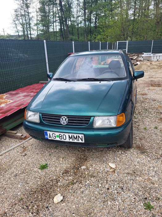 Polo 6n pentru rabla