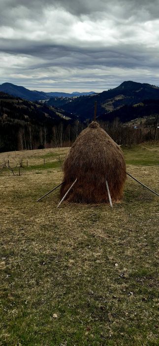 Vand 6 clăi de fân