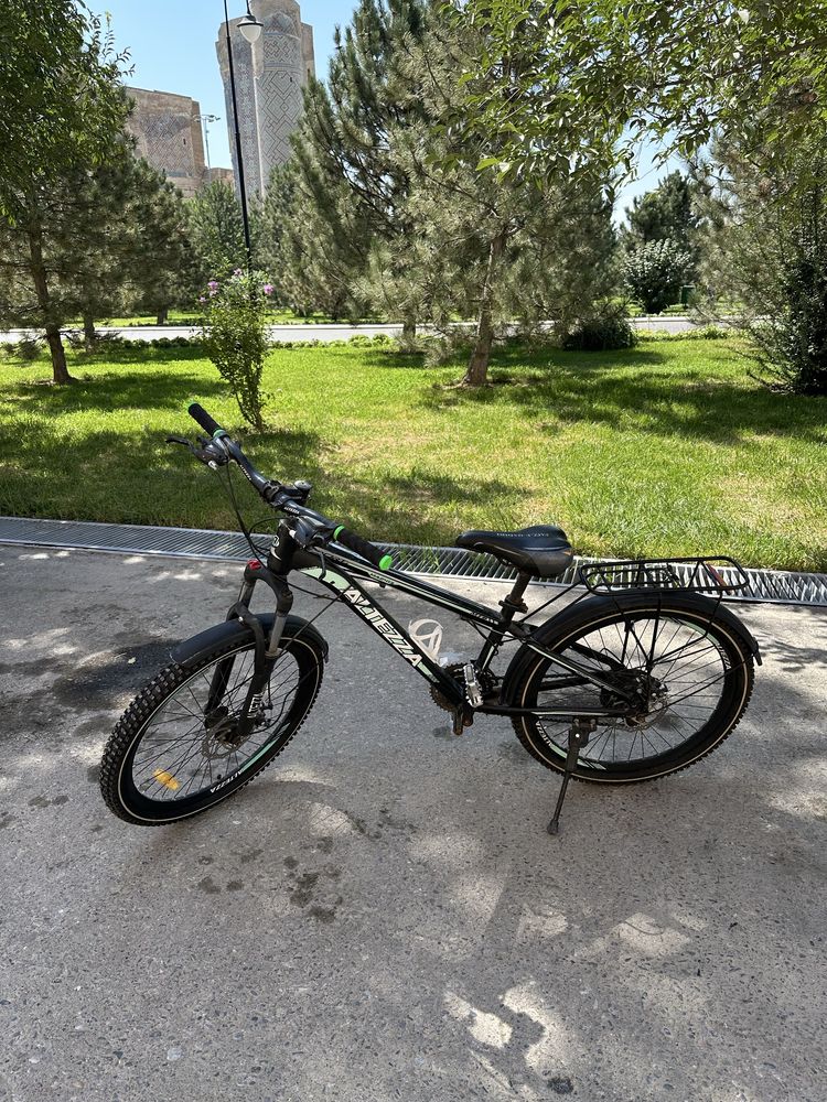 Velosepid 24 altezza