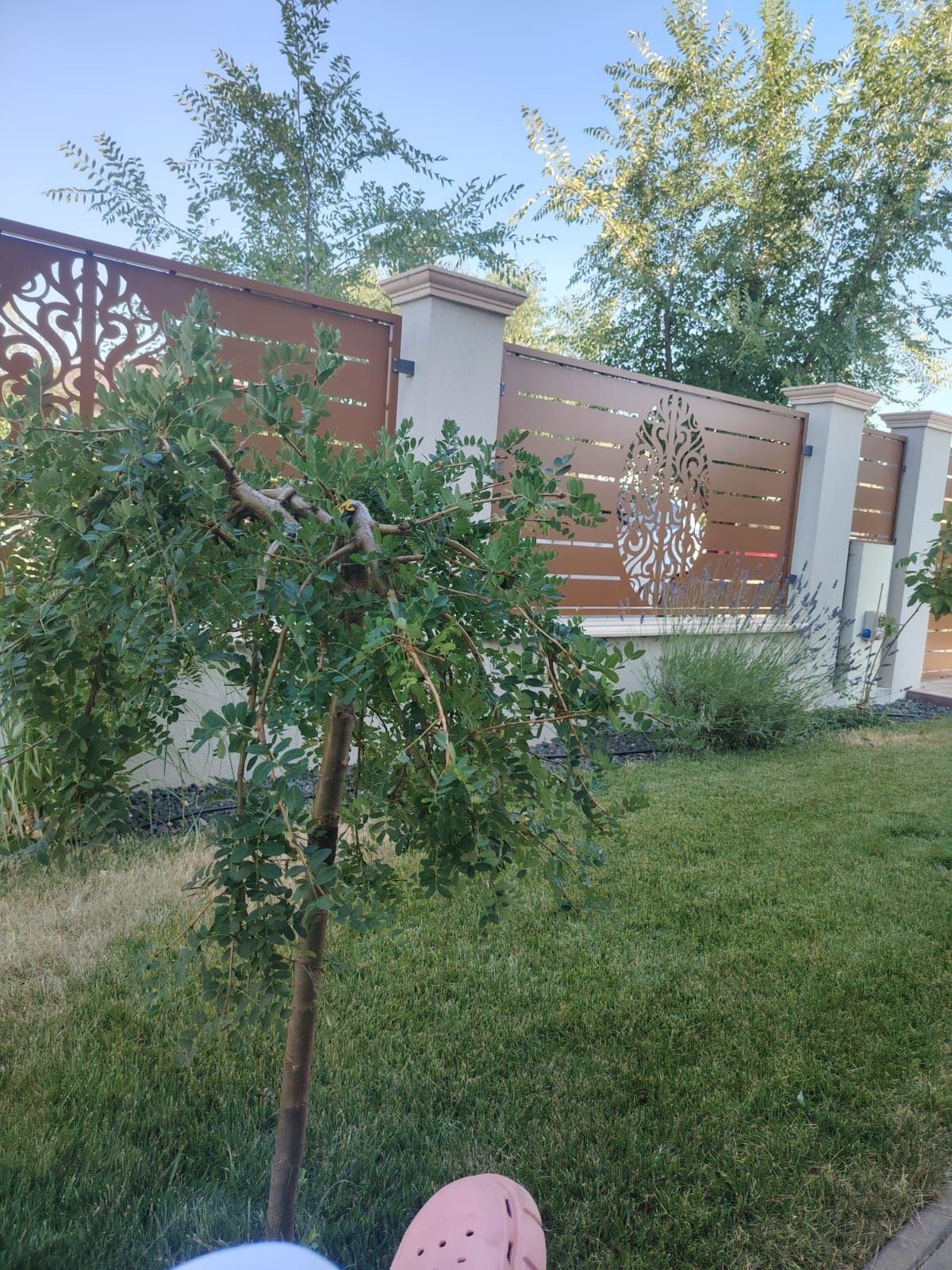 Vând vila ideala grădiniță, aferscholl