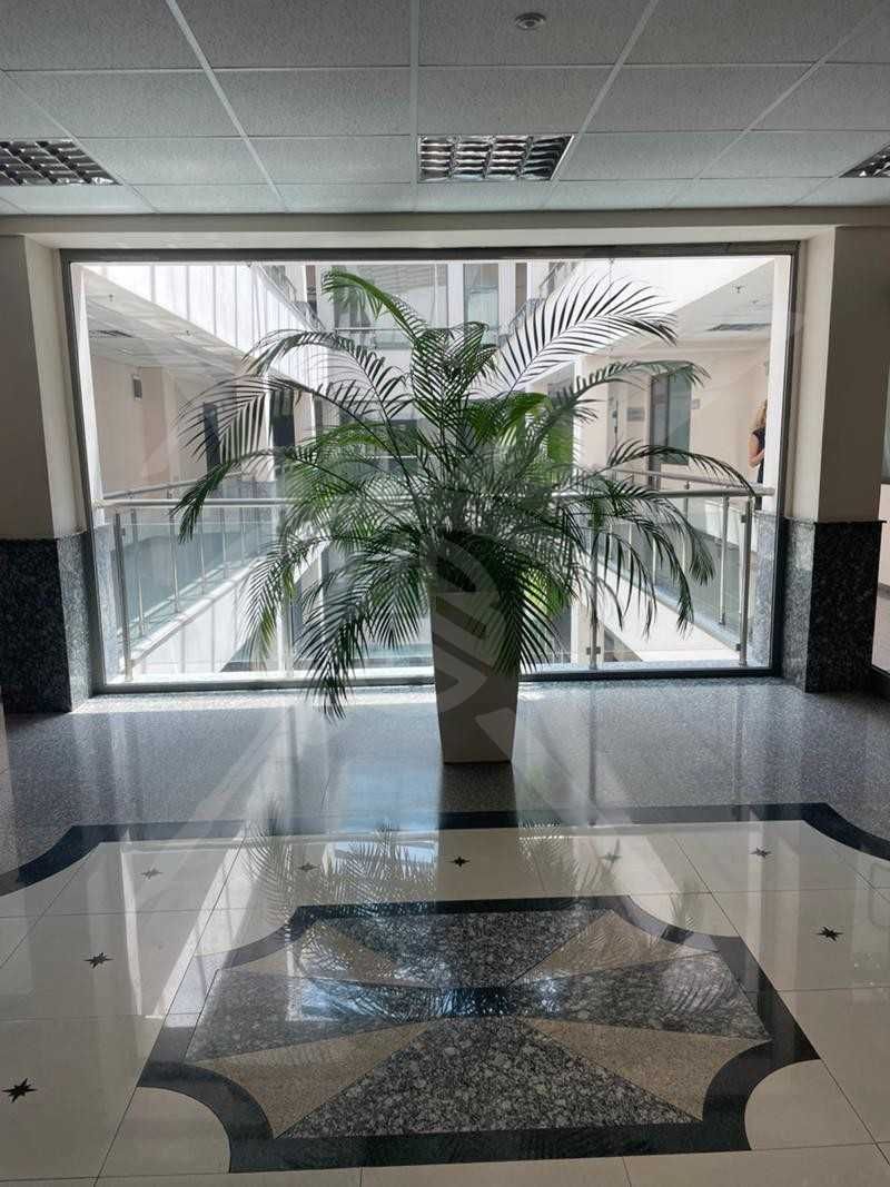 Офис в Центъра 33236