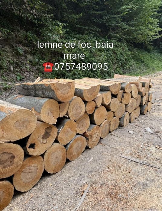 Lemne de foc Baia mare
