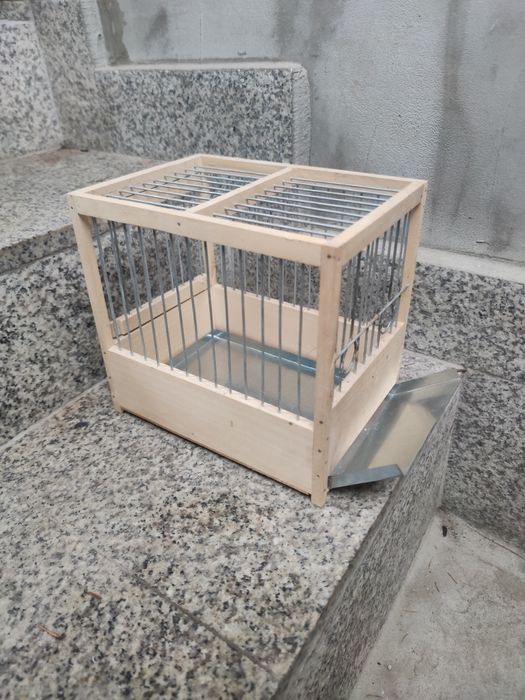 Colivie canari concurs