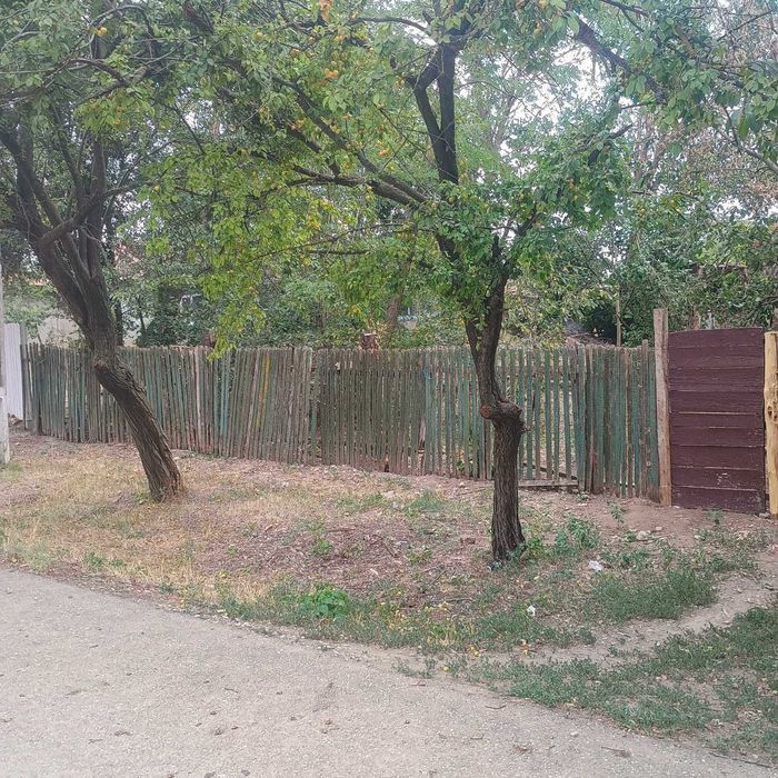 Vand Teren Merii Petchii