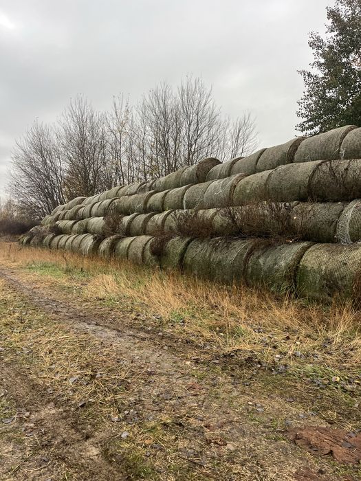 Vand baloti de acum 2 ani