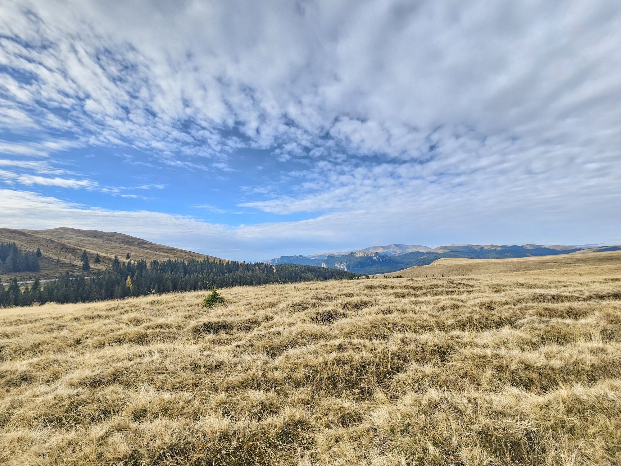 Proprietar terenuri muntii bucegi (bolboci, padina, pestera, sinaia