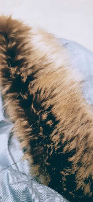 Jacheta de Dama KENVELO