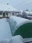Solar solarii legume gradina sera sere flori!!AB