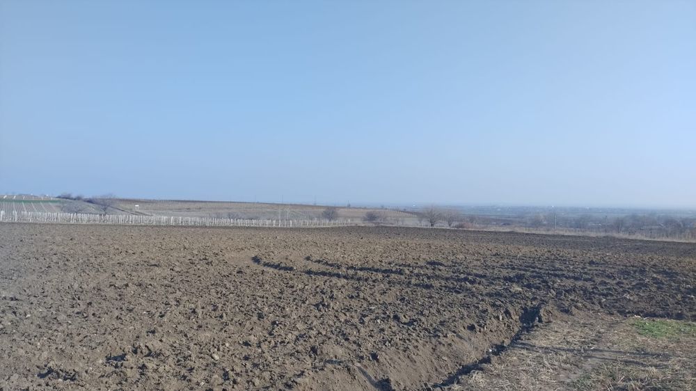 Vand proprietate aflata pe Drumul Vinului in com. Pietroasele, Merei