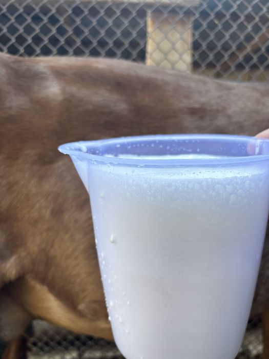 Ешкі сути сатылады