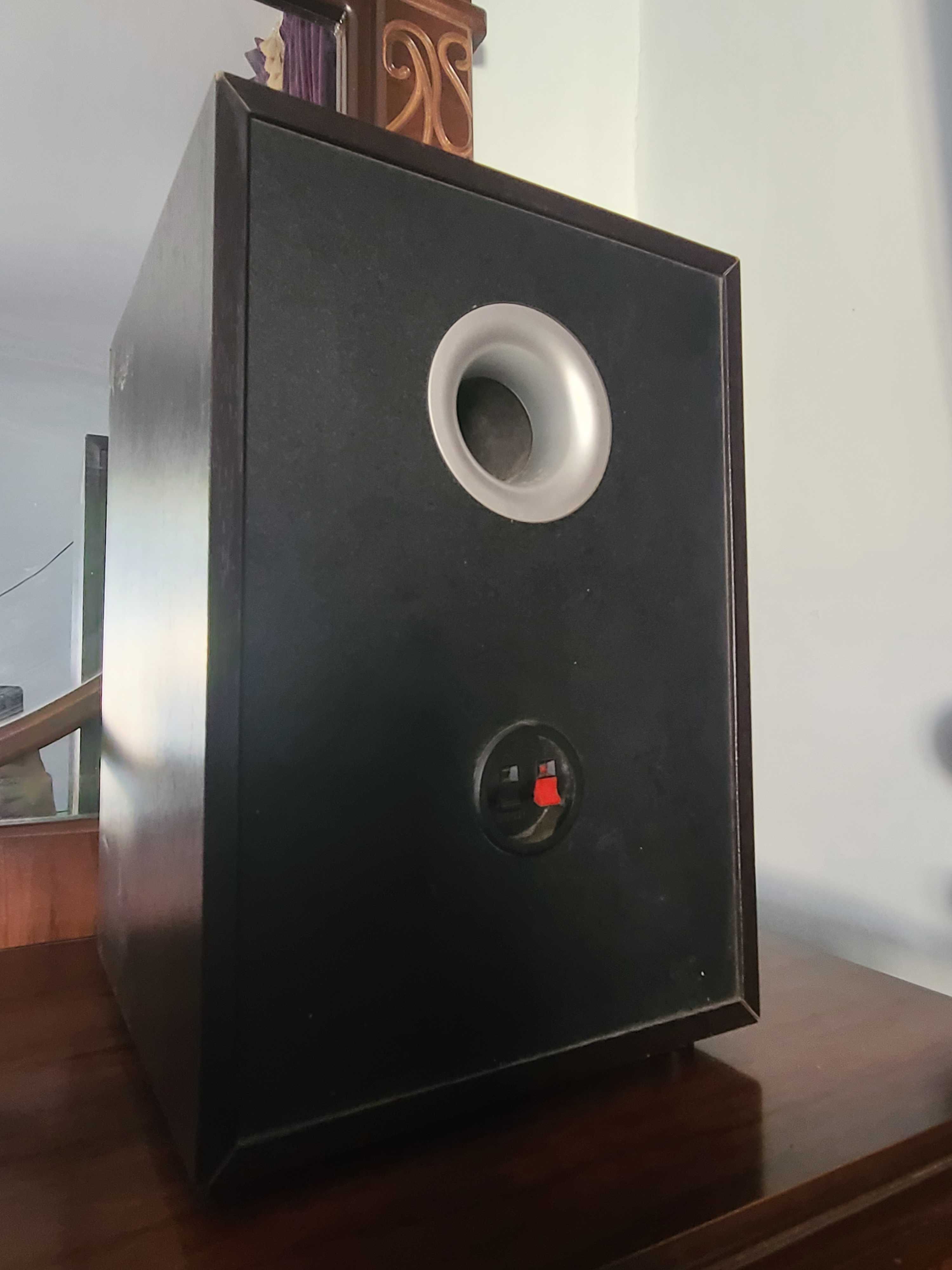 Microlab solo usilitelsiz tomoni