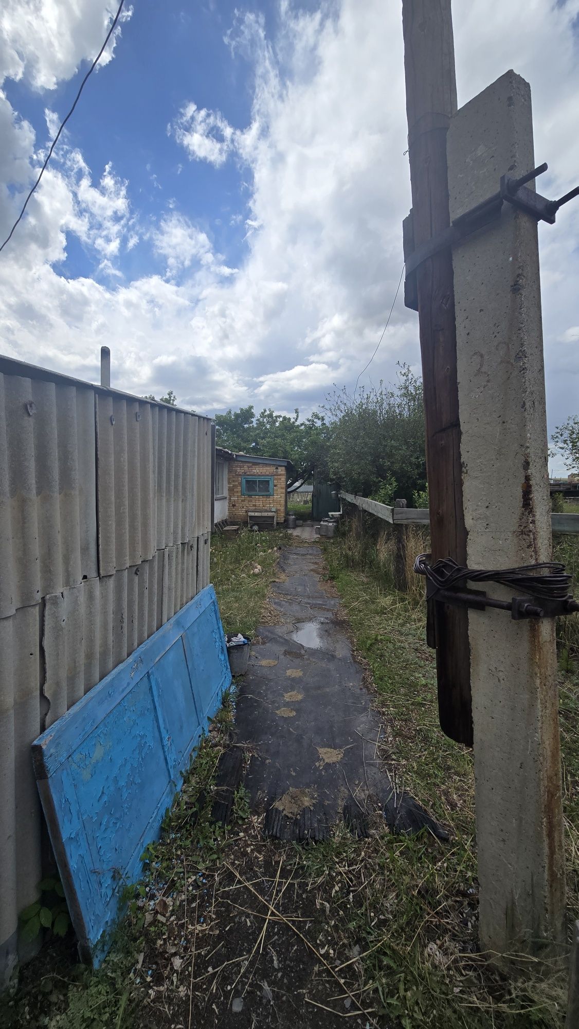 Продаю дам Егіндібұлак
