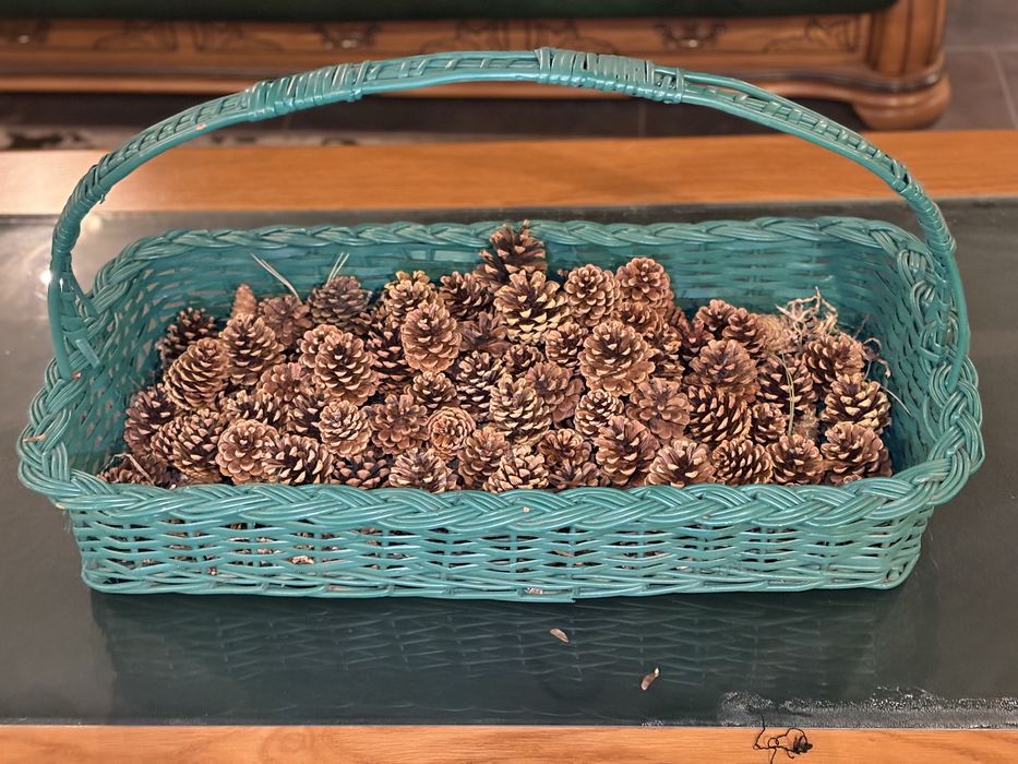 Шишки сосны натуральные для декора