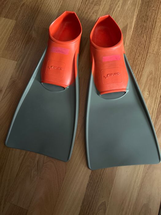 Labe inot adulti finis