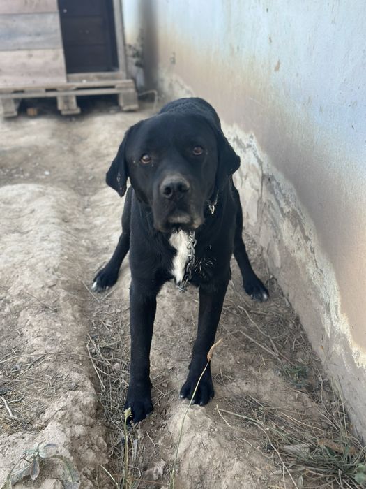 Мальчик 2-3 года