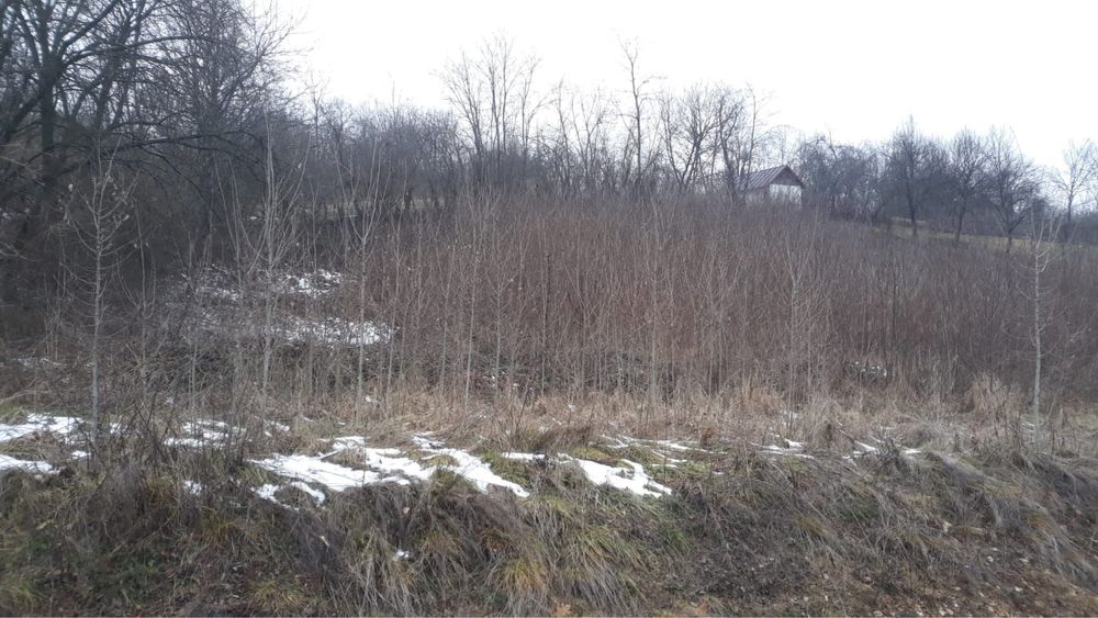 Teren de vanzare langa izvor 1500 Mp intravilan