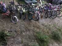Lot biciclete copii si adulti