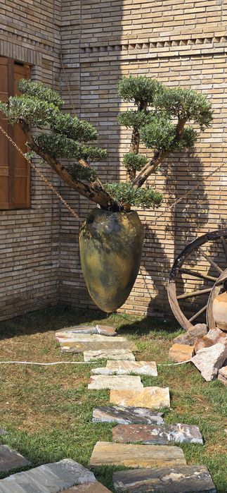 Газон дарахд арезка