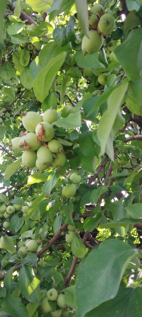 Продаётся дом  р-он юбилейной заправки