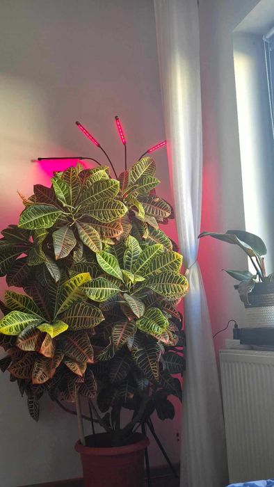 lampa crescut plante leduri rosu si albastru, 20 leduri, 3 brate