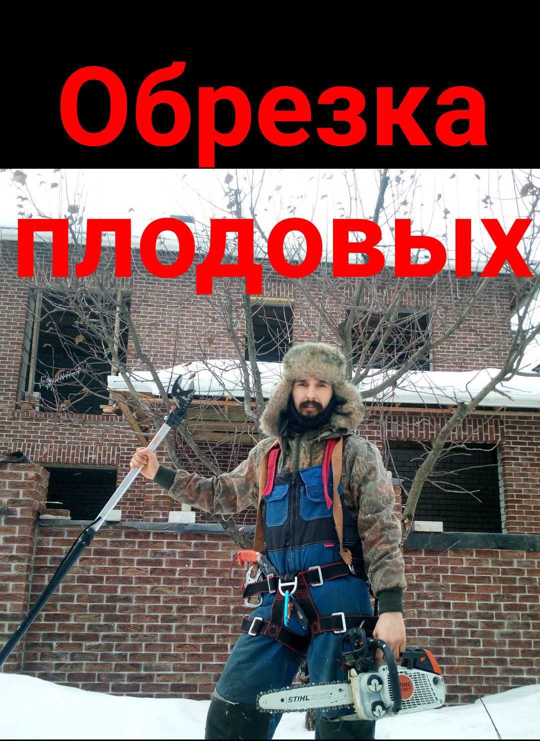 Спил деревьев. Обрезка деревьев.
