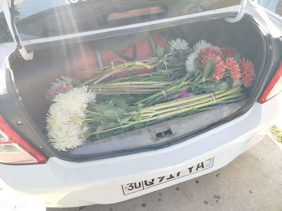 арендаба мошин хаст