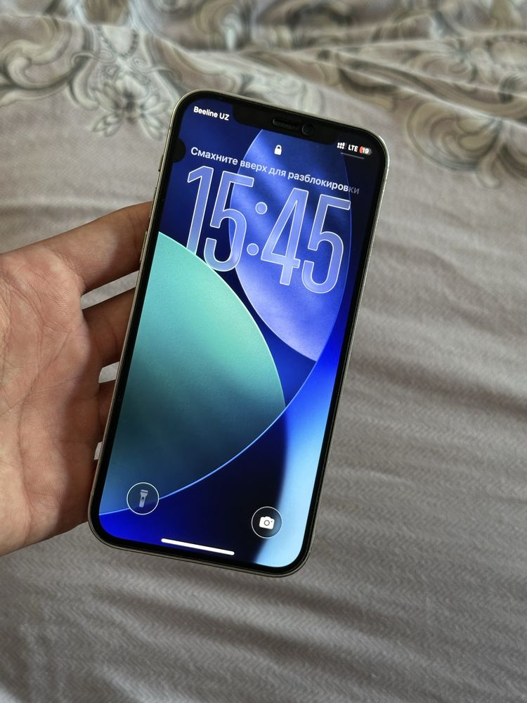 iPhone 12 Pro | 256GB