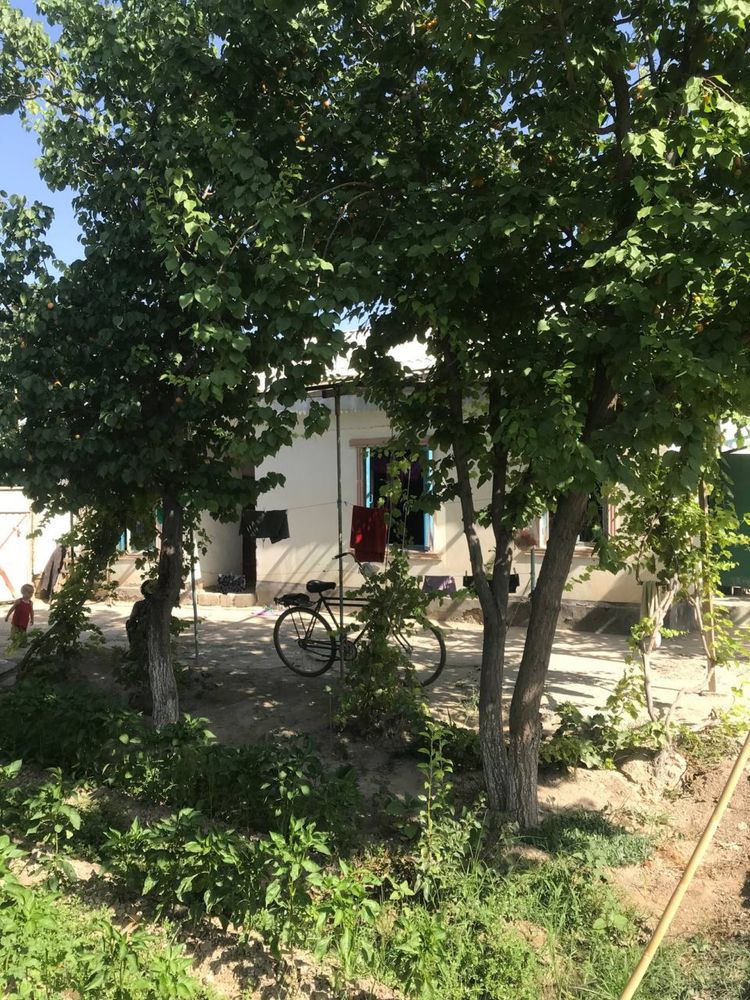 Dacha sotiladiii