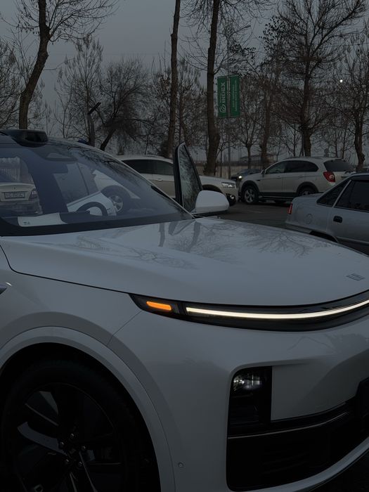 Li 7 Ultra 2025 oqga qora salon