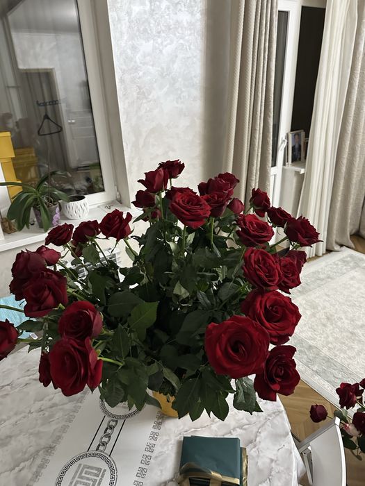 Розы голландские