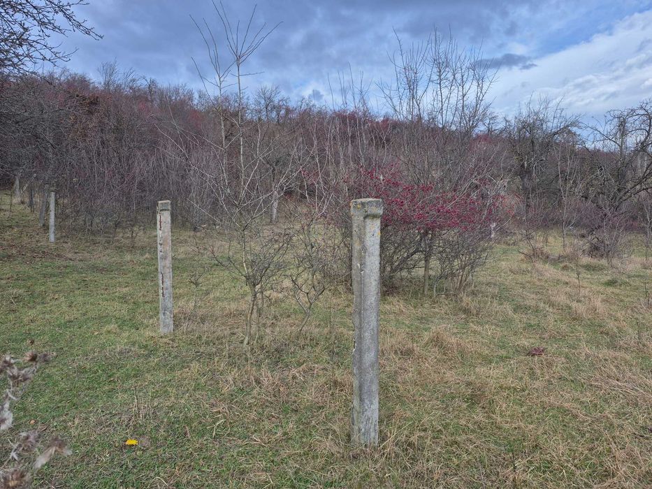 vand teren extravilan in zona Orlat , Jud. Sibiu , 2800 mp