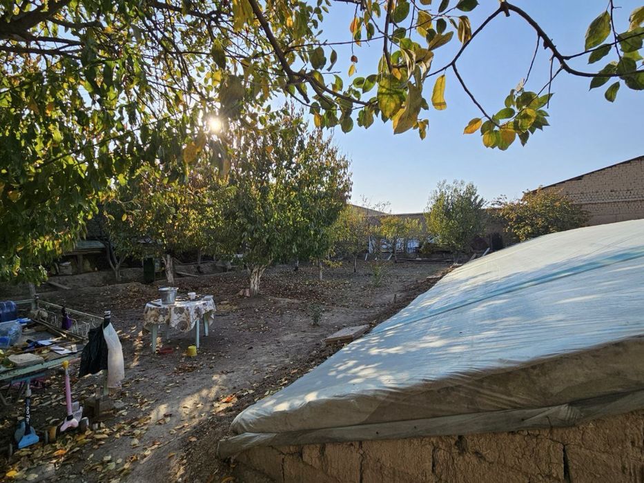 Yashashga tayyor hovli, hamma sharoitlari bilan, parnik, svet, gaz,