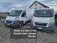 Motor 3.0 euro 5 Fiat Ducato motor 3.0 Iveco Daily