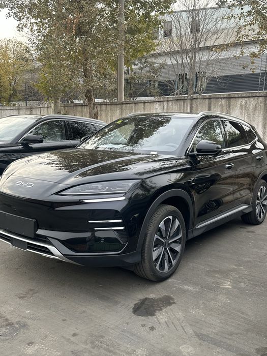 byd chempion 605km